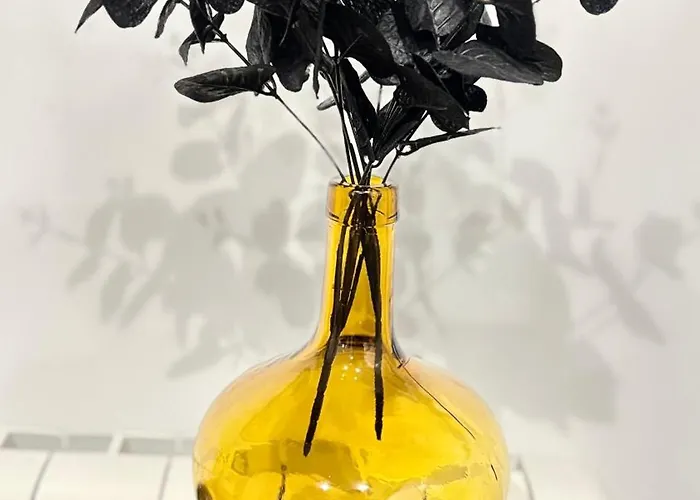 Santa Lucía * Zaragoza